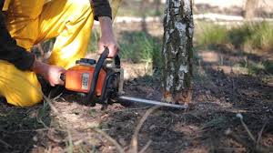 Mulching Services in Marks, MS